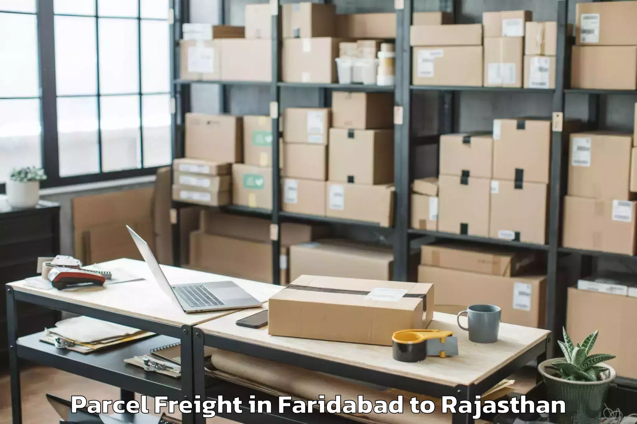 Book Faridabad to Makrana Parcel Freight